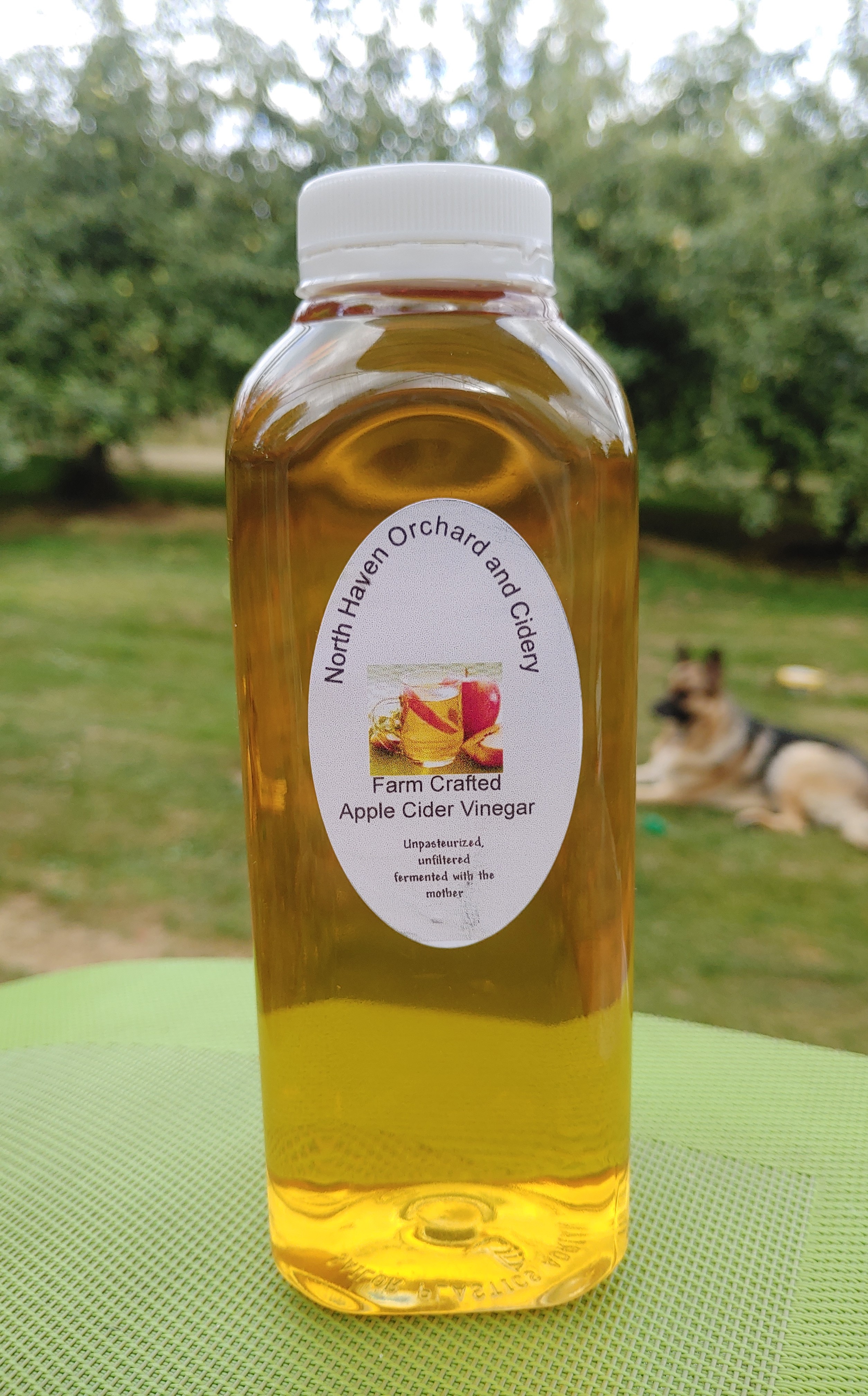 Infused North Haven vinegar bottle representing blueberry dressing recipe.